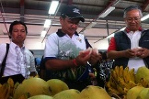 Cordi farmers get easy market with 'TienDA' in Benguet 